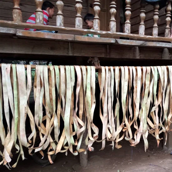 Fabrication du papier Washi japonais