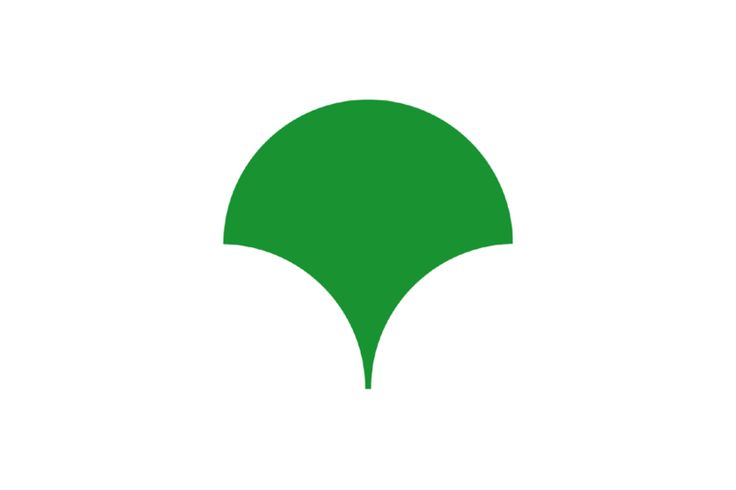 Feuille de Ginkgos verte : un des symboles de Tokyo