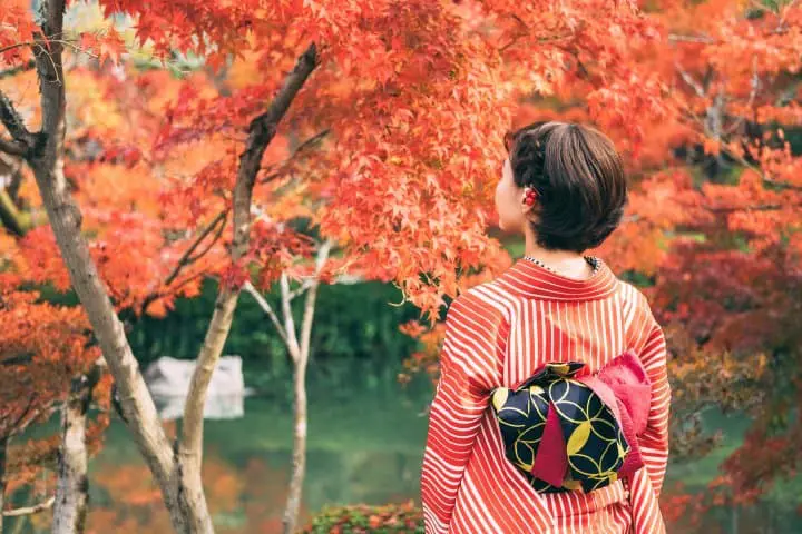 Momijigari ou l'art d'admirer les feuilles des érables japonais