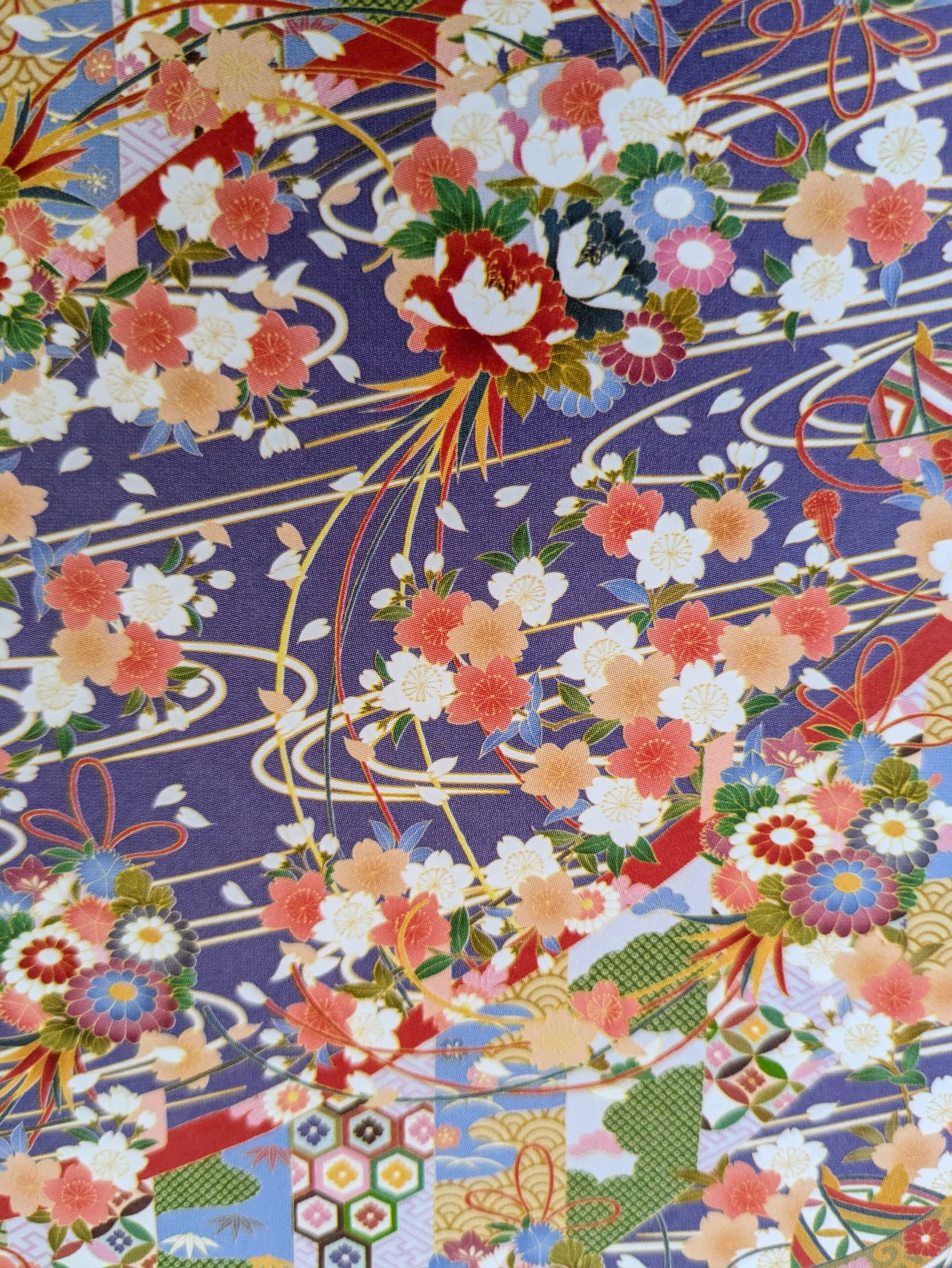 Danse du Tsuru – Image 14