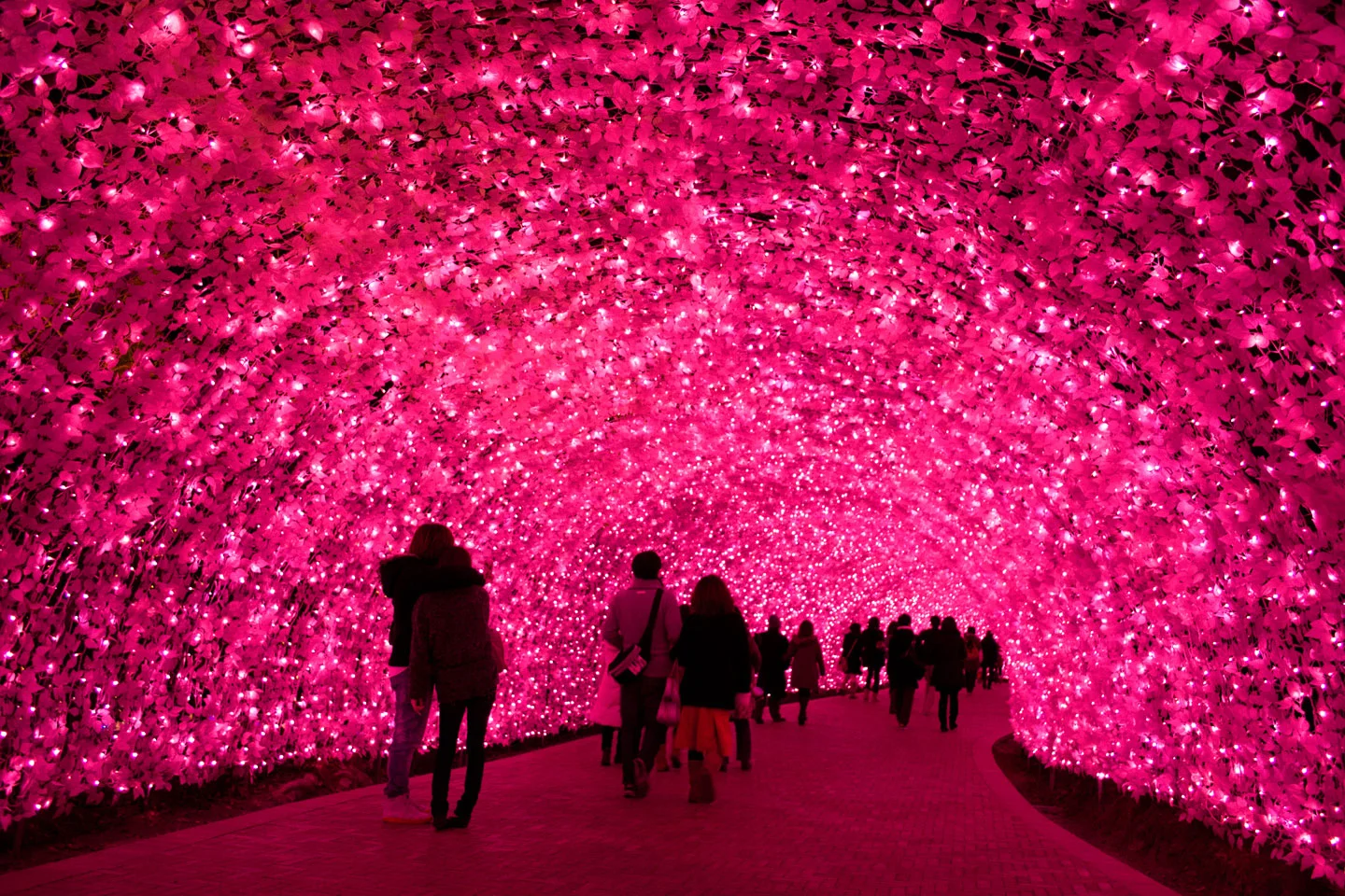 Illuminations féeriques à Nabana no Sato
