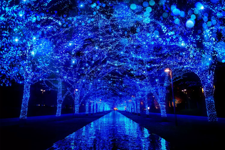 Illuminations hivernales à Shibuya, Tokyo, décembre 2025